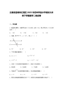云南省昆明市红塔区2025年初中学业水平模拟九年级下学期数学二模试卷（含答案解析）