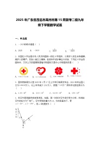 2025年广东省茂名市高州市第15周联考二模九年级下学期数学试题（含答案解析）