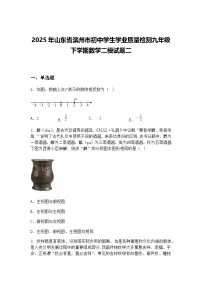2025年山东省滨州市初中学生学业质量检测九年级下学期数学二模试题二（含答案解析）