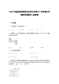 2025年湖北省孝感市汉川市九年级下5月学业水平调研考试数学二模试卷（含答案解析）
