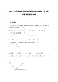 2025年安徽省黄山市屯溪区部分学校联考二模九年级下学期数学试题（含答案解析）