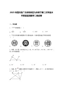 2025年四川省广元市利州区九年级下第二次学业水平质量监测数学二模试卷（含答案解析）