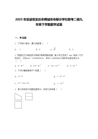 2025年安徽省安庆市桐城市市部分学校联考二模九年级下学期数学试题（含答案解析）