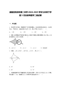 湖南省株洲市第二中学2024-2025学年九年级下学期5月份模考数学二模试卷（含答案解析）