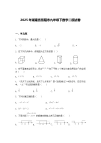 2025年湖南省岳阳市九年级下数学二模试卷（含答案解析）