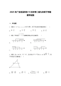 2025年广东省深圳市15校中考二模九年级下学期数学试题（含答案解析）