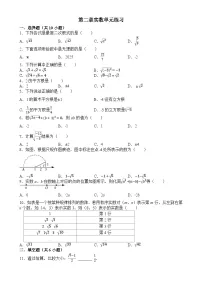 北师大版（2024）八年级上册实数课后练习题