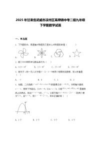 2025年甘肃省武威市凉州区高坝镇中考二模九年级下学期数学试题（含答案解析）