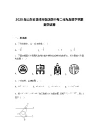 2025年山东省淄博市张店区中考二模九年级下学期数学试卷（含答案解析）