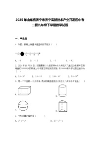 2025年山东省济宁市济宁高新技术产业开发区中考二模九年级下学期数学试题（含答案解析）