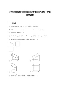 2025年安徽省合肥市包河区中考二模九年级下学期数学试卷（含答案解析）