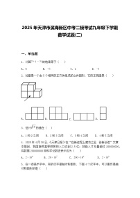 2025年天津市滨海新区中考二模考试九年级下学期数学试题(二)（含答案解析）