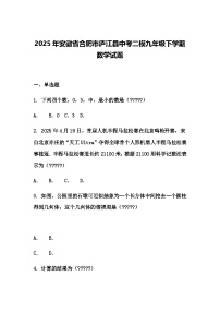 2025年安徽省合肥市庐江县中考二模九年级下学期数学试题（含答案解析）