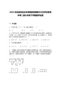 2025年安徽省安庆市岳西县岳西部分片区学校联考中考二模九年级下学期数学试题（含答案解析）