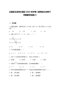 云南省玉溪市红塔区2025年中考二模考试九年级下学期数学试题(1)（含答案解析）