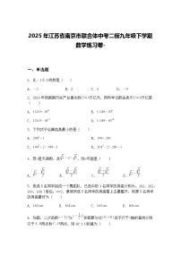 2025年江苏省南京市联合体中考二模九年级下学期数学练习卷-（含答案解析）