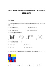 2025年内蒙古自治区呼和浩特市中考二模九年级下学期数学试题（含答案解析）