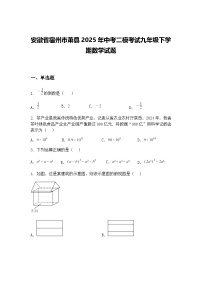 安徽省宿州市萧县2025年中考二模考试九年级下学期数学试题（含答案解析）