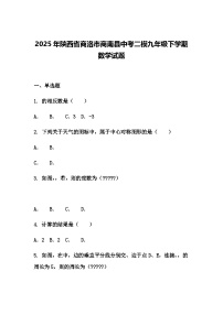 2025年陕西省商洛市商南县中考二模九年级下学期数学试题（含答案解析）