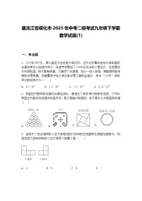 黑龙江省绥化市2025年中考二模考试九年级下学期数学试题(1)（含答案解析）