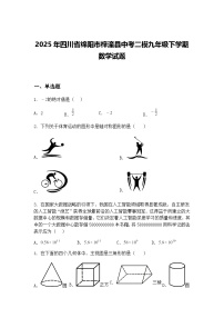 2025年四川省绵阳市梓潼县中考二模九年级下学期数学试题（含答案解析）
