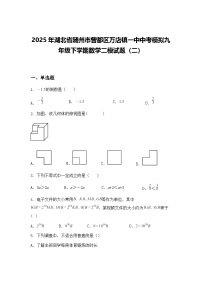 2025年湖北省随州市曾都区万店镇一中中考模拟九年级下学期数学二模试题（二）（含答案解析）