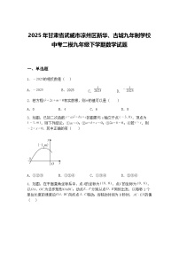 2025年甘肃省武威市凉州区新华、古城九年制学校中考二模九年级下学期数学试题（含答案解析）