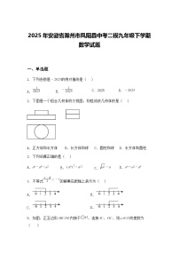 2025年安徽省滁州市凤阳县中考二模九年级下学期数学试题（含答案解析）