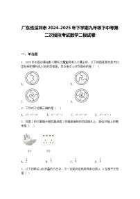 广东省深圳市2024-2025年下学期九年级下中考第二次模拟考试数学二模试卷（含答案解析）