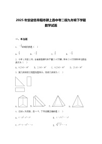 2025年安徽省阜阳市颍上县中考二模九年级下学期数学试题（含答案解析）