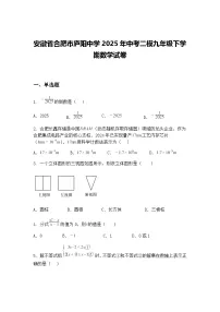 安徽省合肥市庐阳中学2025年中考二模九年级下学期数学试卷（含答案解析）