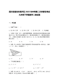 四川省南充市高坪区2025年中考第二次诊断性考试九年级下学期数学二模试题（含答案解析）