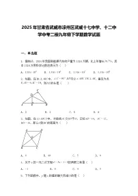 2025年甘肃省武威市凉州区武威十七中学、十二中学中考二模九年级下学期数学试题（含答案解析）