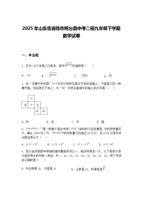 2025年山东省淄博市桓台县中考二模九年级下学期数学试卷（含答案解析）