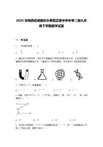 2025年陕西省咸阳市永寿县豆家中学中考二模九年级下学期数学试题（含答案解析）