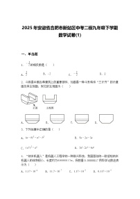 2025年安徽省合肥市新站区中考二模九年级下学期数学试卷(1)（含答案解析）