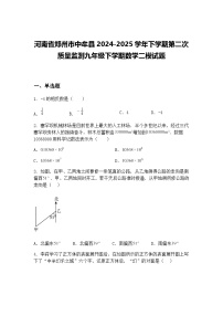 河南省郑州市中牟县2024-2025学年下学期第二次质量监测九年级下学期数学二模试题（含答案解析）