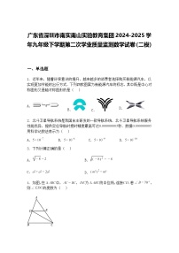 广东省深圳市南实南山实验教育集团2024-2025学年九年级下学期第二次学业质量监测数学试卷（二模）（含答案解析）