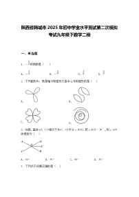 陕西省韩城市2025年初中学业水平测试第二次模拟考试九年级下数学二模（含答案解析）