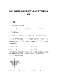 2025年四川省达州市通川区二模九年级下学期数学试题（含答案解析）