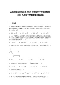 云南省临沧市凤庆县2025年学业水平考模拟检测（二）九年级下学期数学二模试题（含答案解析）