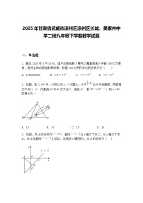 2025年甘肃省武威市凉州区凉州区长城、吴家井中学二模九年级下学期数学试题（含答案解析）