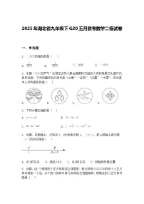 2025年湖北省九年级下G20五月联考数学二模试卷（含答案解析）