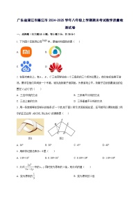 广东省湛江市廉江市2024^2025学年八年级上学期期末考试数学试卷（附答案）