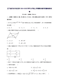 辽宁省丹东市东港市2024^2025学年九年级上学期期末数学试卷（附答案）