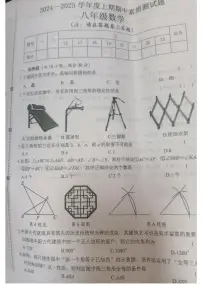河南省驻马店市汝南县2024-2025学年八年级上学期11月期中考试数学试题