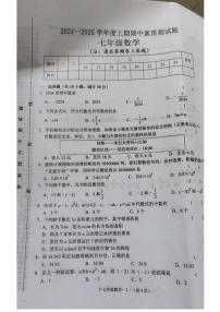 河南省驻马店市汝南县2024-2025学年七年级上学期11月期中数学试题