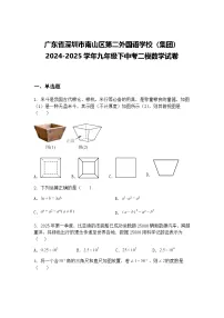 广东省深圳市南山区第二外国语学校（集团）2024-2025学年九年级下中考二模数学试卷（含答案解析）