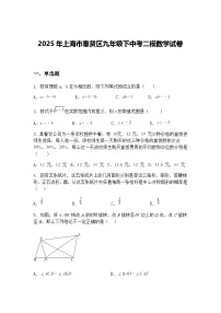 2025年上海市奉贤区九年级下中考二模数学试卷（含答案解析）