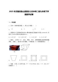 2025年河南省鲁山县西北七校中考二模九年级下学期数学试卷（含答案解析）